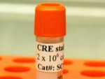 CRE Expression / HEK293 Cell Line (Neo)