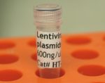 Lentiviral packaging plasmids