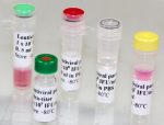 Customized lentiviral shRNA (H1) with RFP-Puromycin marker
