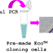 pEco™-BAD-nHis PCR cloning kit