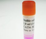 HEK293-TRPC3 cell line with RFP and Blasticidin marker