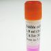 HEK293-TRPC3 cell line with RFP and Blasticidin marker