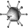 Adenovirus scheme 