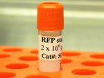 Hela-RFP Expression Cells (Puro)
