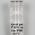 LVP vial image