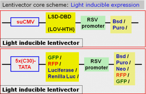 Blue-light expression vector map