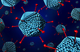 Adenovirus