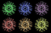 Premade Lentivirus