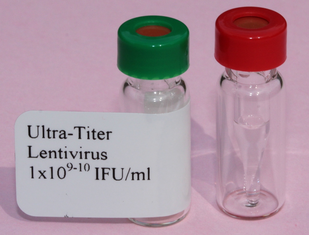 Ultra titer lentivirus 1x10e910 IFU/ml