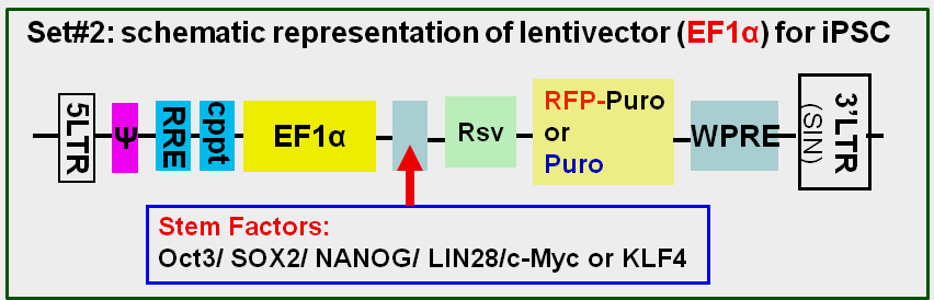 iPSC factor expression map