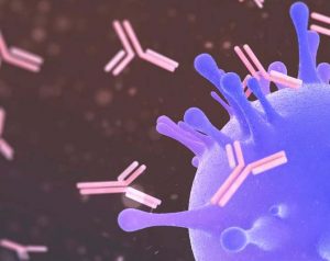 lentivirus surface antibody binding