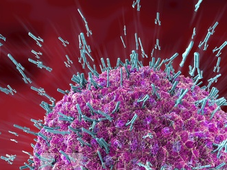 antibody attaching COVID-19 virus