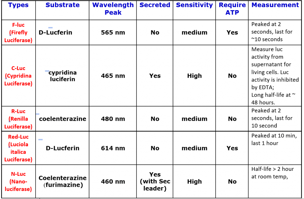 Luciferase types and properties