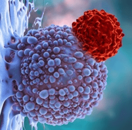 CAR-T-cell-image