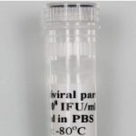 h NECTIN5 (GFP-Puro) Expression Lentivirus