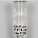 CD44CR1-GFP (Bsd) lentivirus