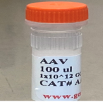 AAV vial image